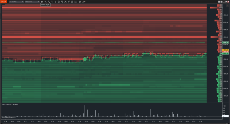 large orders on orderbook in ninjatrader 8