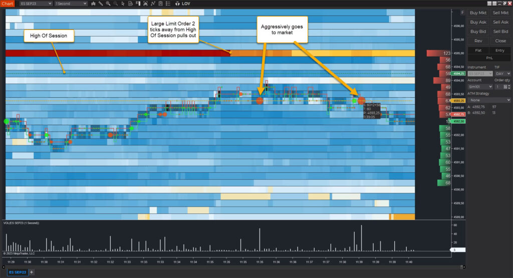 spotting market dynamics in limit order visualizer with NinjaTrader 8