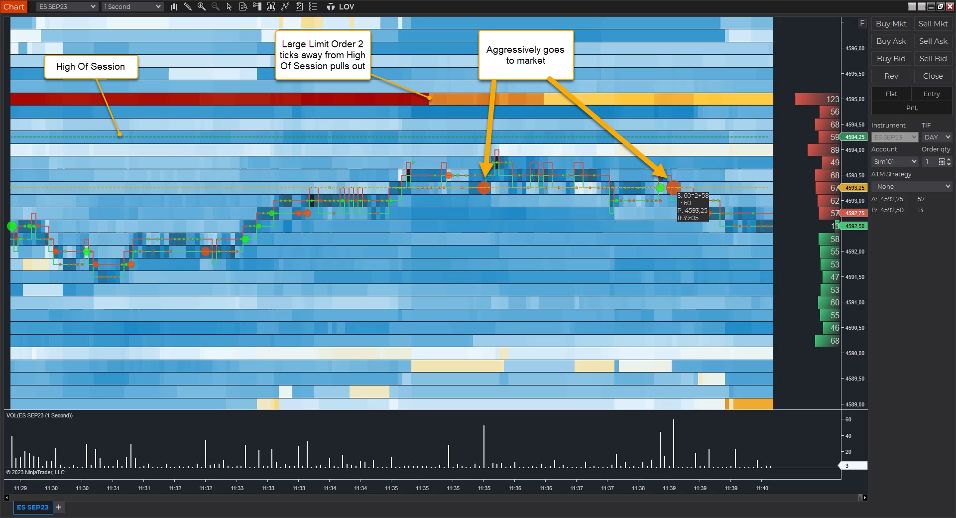 Master Order Flow Trading With NinjaTrader: A Compressive Guide